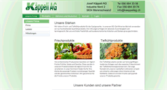 Desktop Screenshot of kaeppeliag.ch